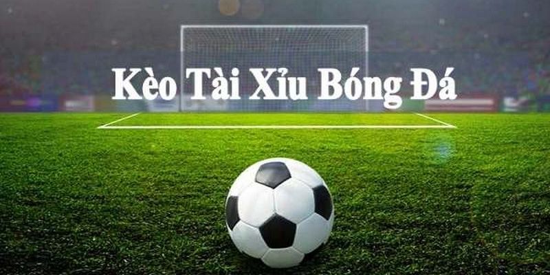 Thể Thao - JUN88 - hình ảnh - stogzcpqy.top